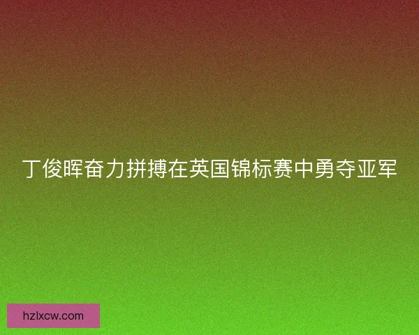 丁俊晖奋力拼搏在英国锦标赛中勇夺亚军